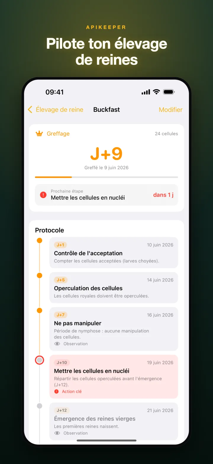 ApiKeeper 7